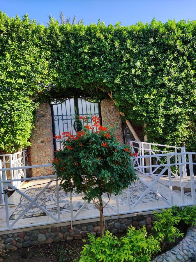 Villa Rayan Хургада Екстериор снимка